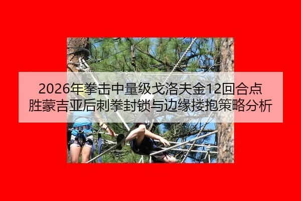 nian-quan-ji-zhong-liang-ji-ge-luo-fu-jin-hui-he-dian-sheng-meng-ji-ya-hou-ci-quan-feng-suo-yu-bian-yuan-lou-bao-ce-lve-3-826.jpg